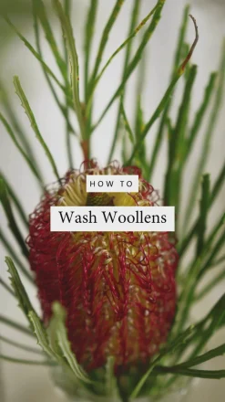 Bondi Wash - Wool & Cashmere Wash - Fragonia & Sandalwood 125ml